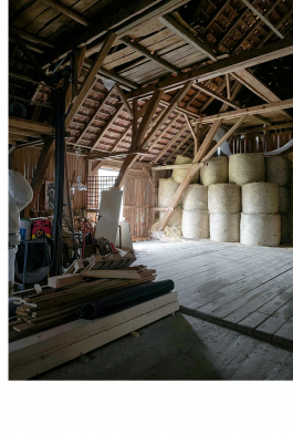 menu surprise architecture