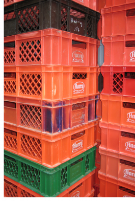 menu surprise architecture