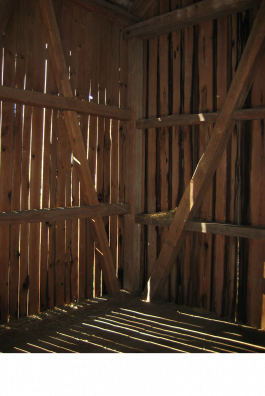 menu surprise architecture