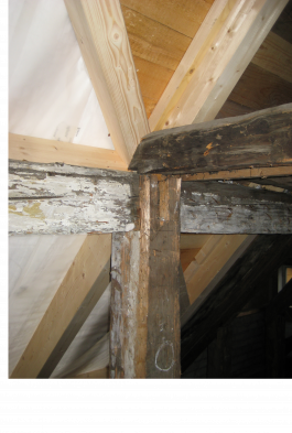 menu surprise architecture