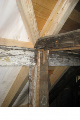 menu surprise architecture