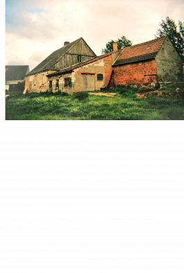 menu surprise architecture